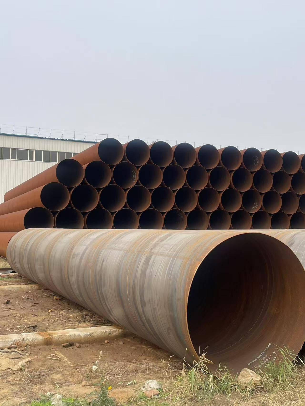 2026�������ֹ���ҵ�����ַ�������